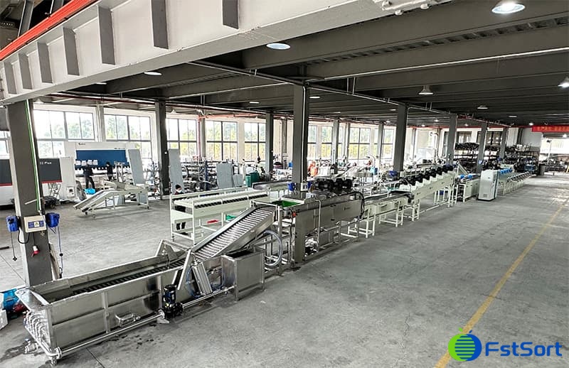 mango sorting processing machine.jpg mango sorting processing machine.jpg